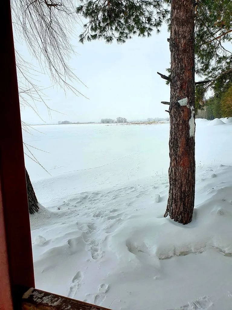 Чайная беседка