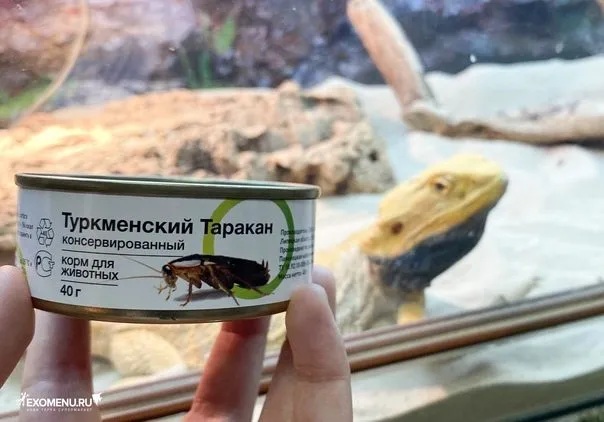 Качественные продукты питания
