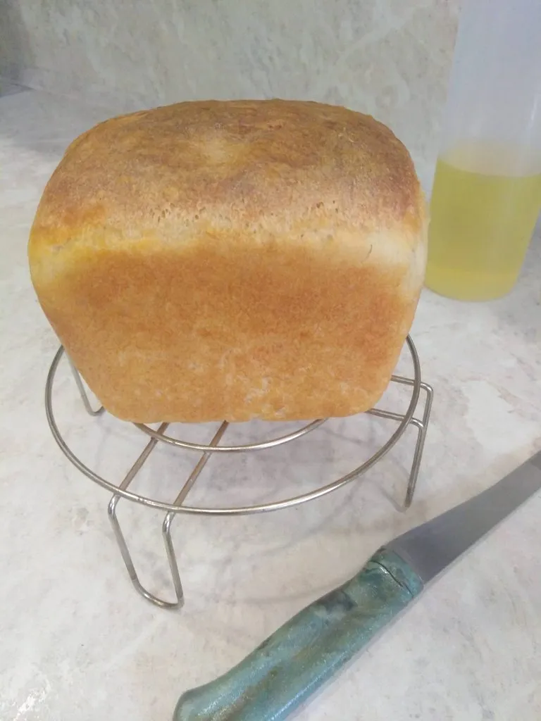 Хлеб амурский заливной