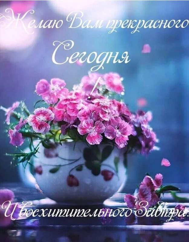 Кафе "У пани Сони"