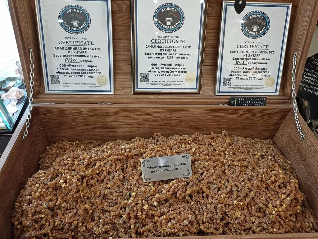 Калининградская область (не только море и янтарь) 