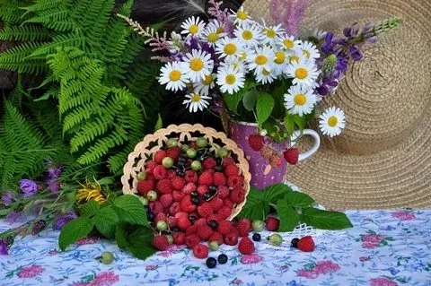 Кафе «У пани Сони»