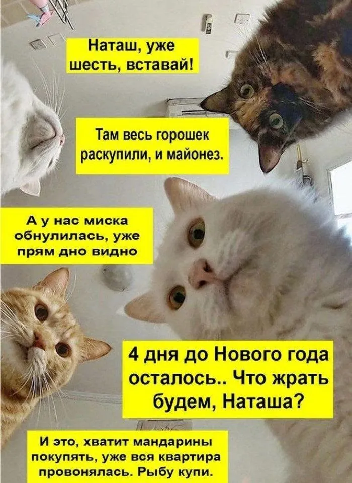 Посмеялся сам - поделись с другом!!!