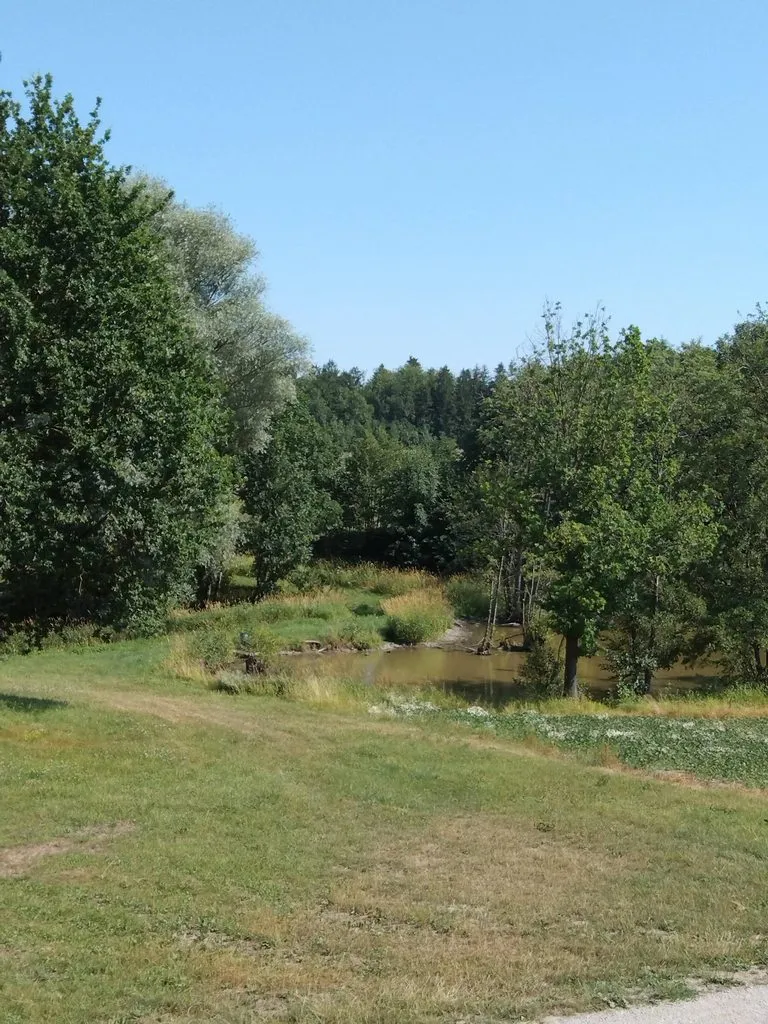 Чайная беседка