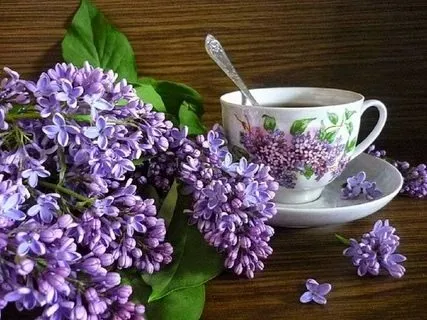 Кафе «У пани Сони»