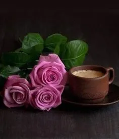 Tapтaлeтки & Ко