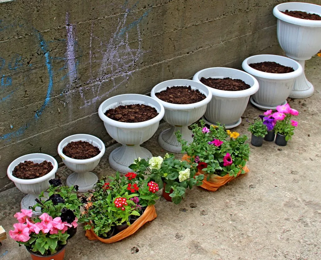 Чайная беседка