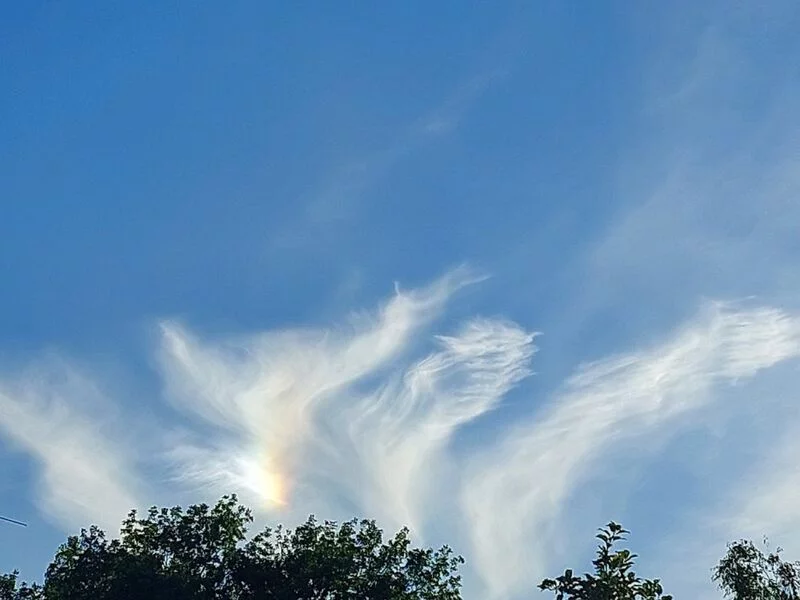 Такое разное небо