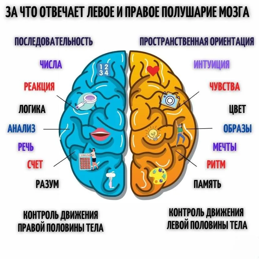 Медицинская инфографика