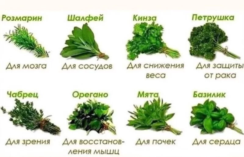 Медицинская инфографика