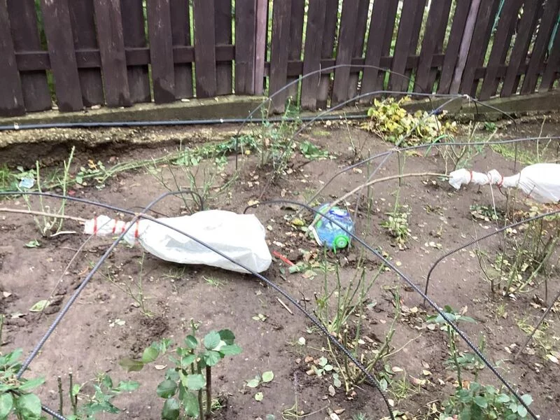 Загородная жизнь - обустройство на своей земле во всем ее разнообразии