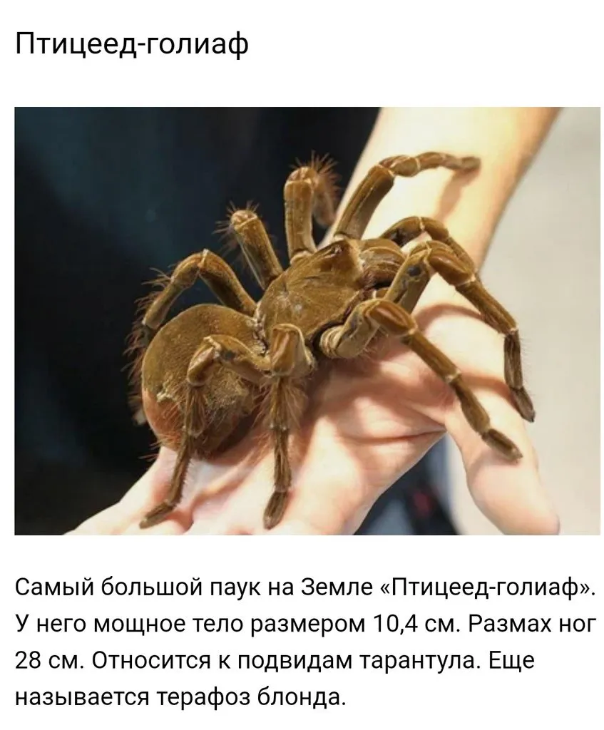 Вышивка крестиком