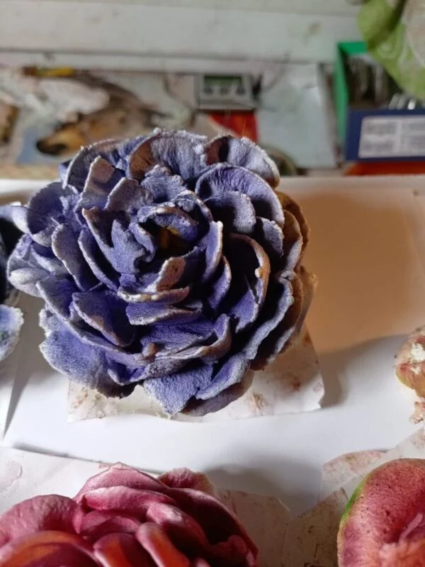 Зефирные букеты и композиции