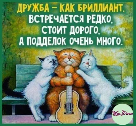 Кафе «У пани Сони»