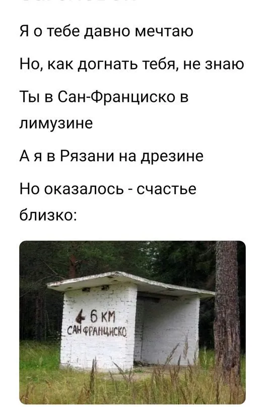Всюду рифмы