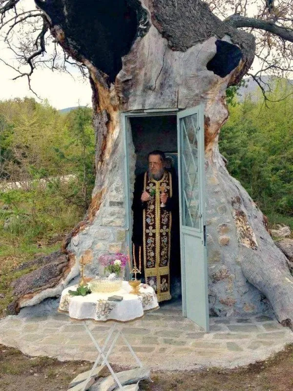 Запечатленная история