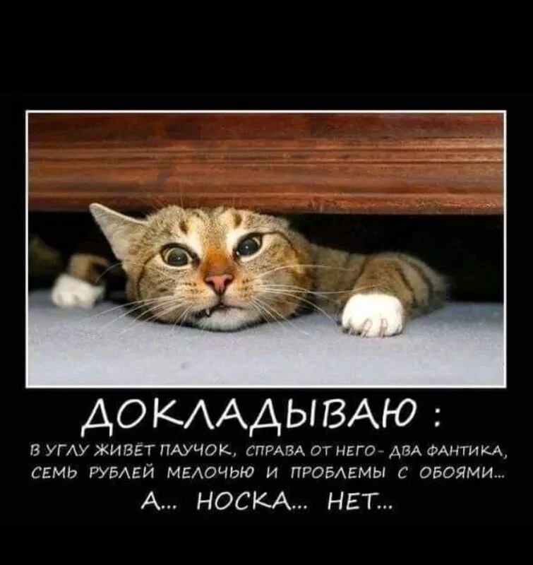 Посмеялся сам - поделись с другом!!!
