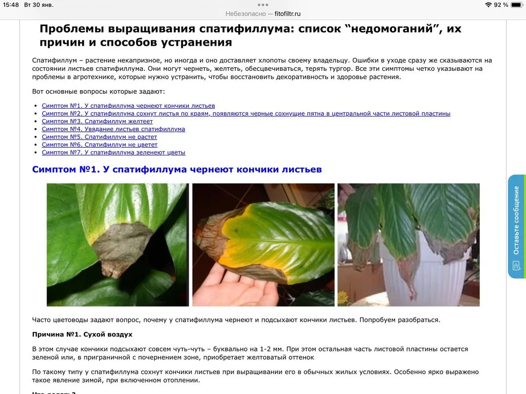 Цветочки: моем, пересаживаем, подкармливаем... (всё о комнатных растениях)