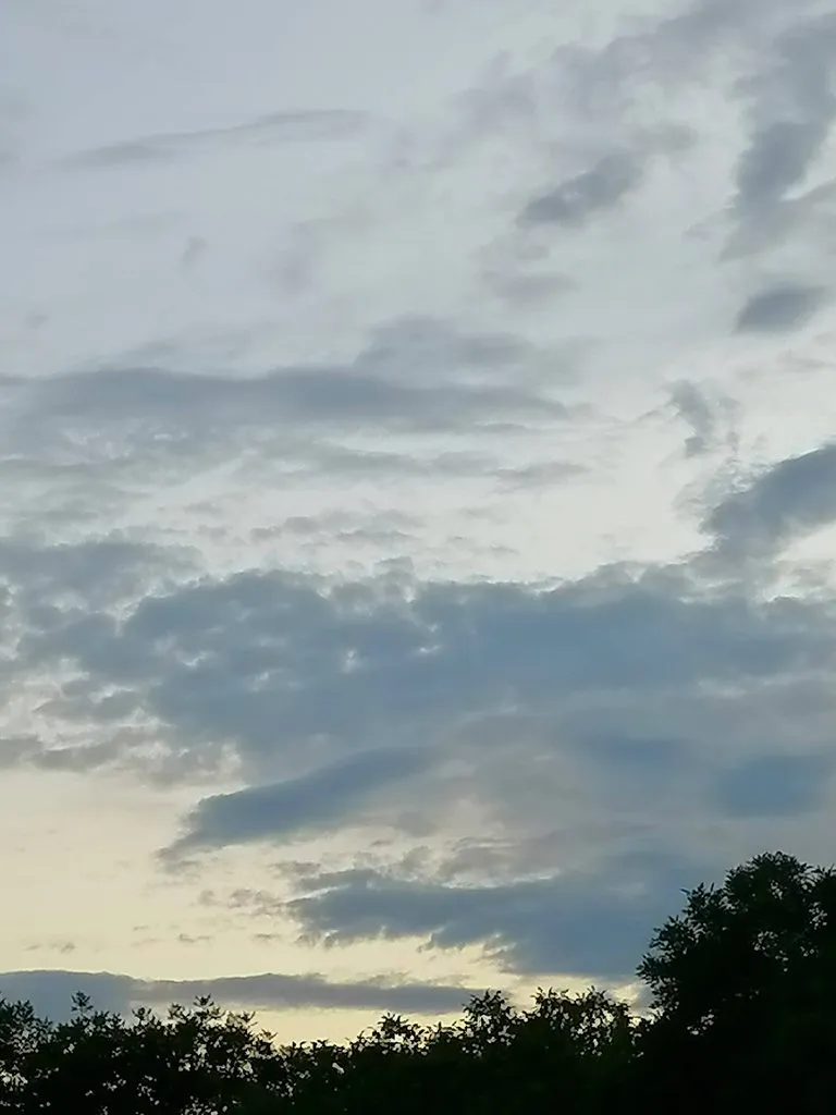 Чайная беседка