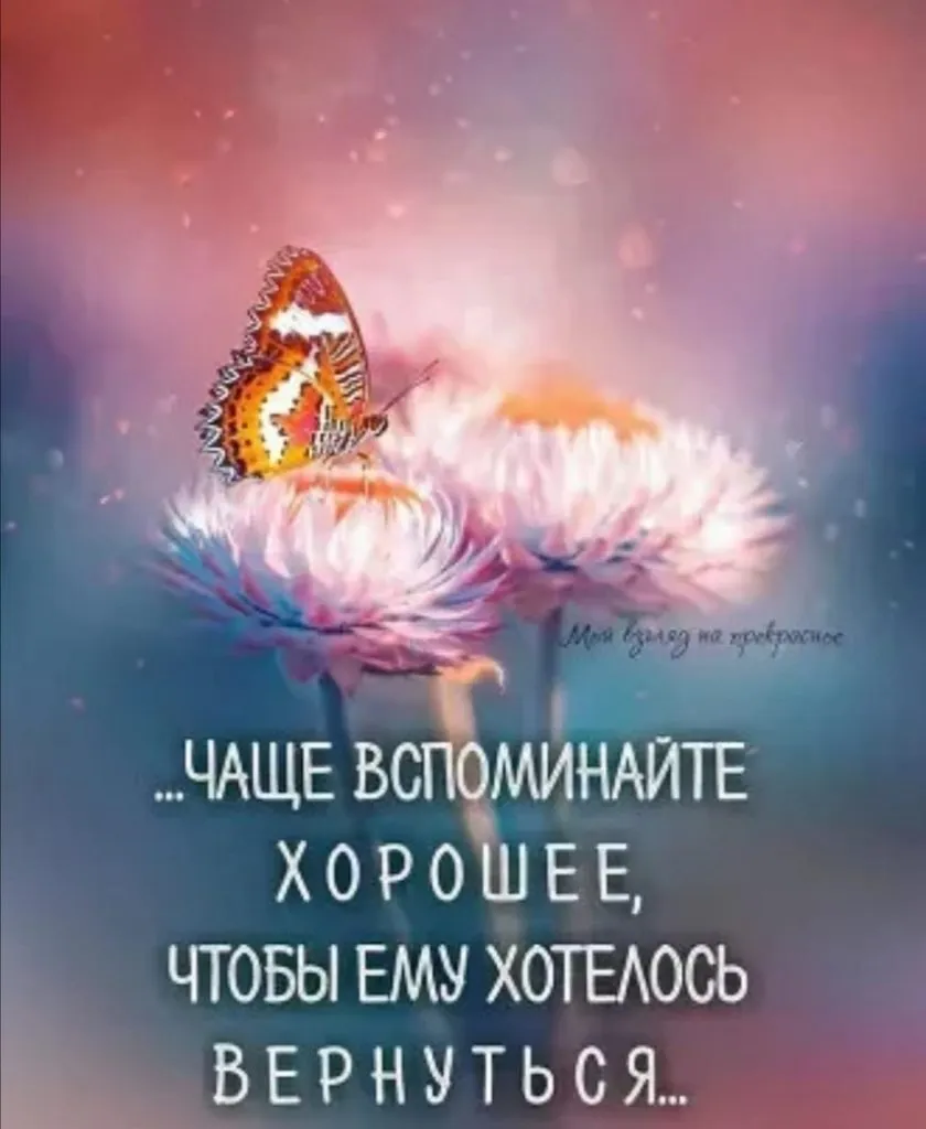 Кафе «У пани Сони»