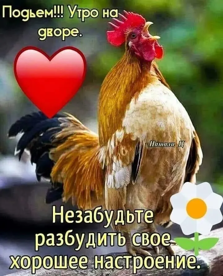 Кафе «У пани Сони»