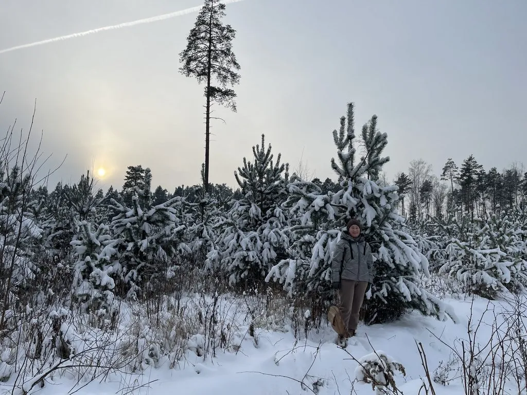 Чайная беседка