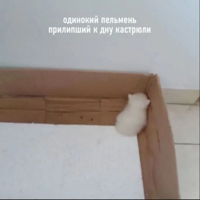 Tapтaлeтки & Ко