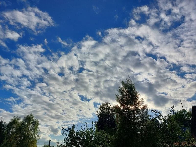 Такое разное небо