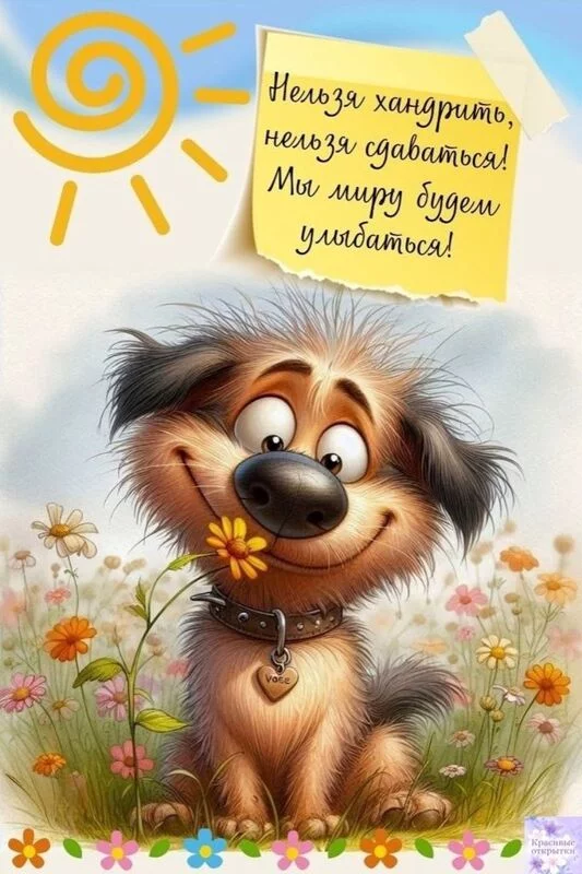 Кафе "У пани Сони"