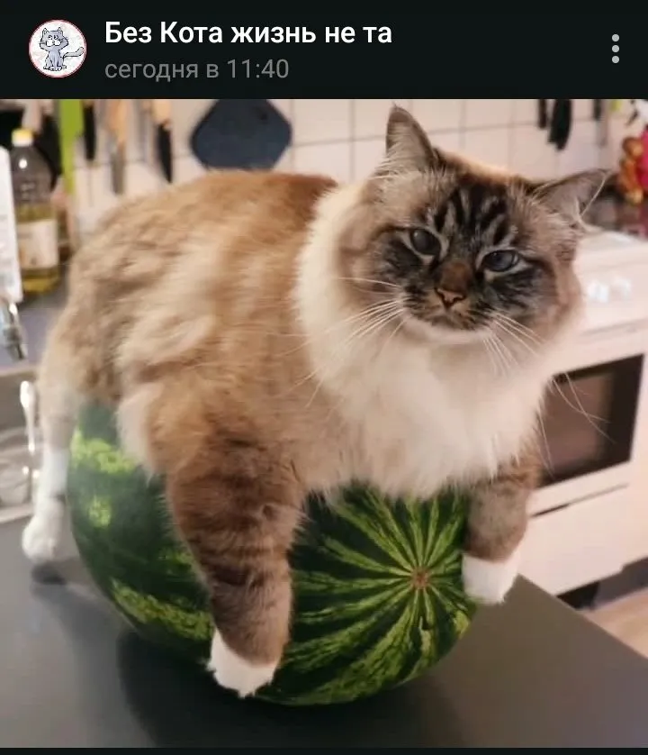 Кафе «У пани Сони»