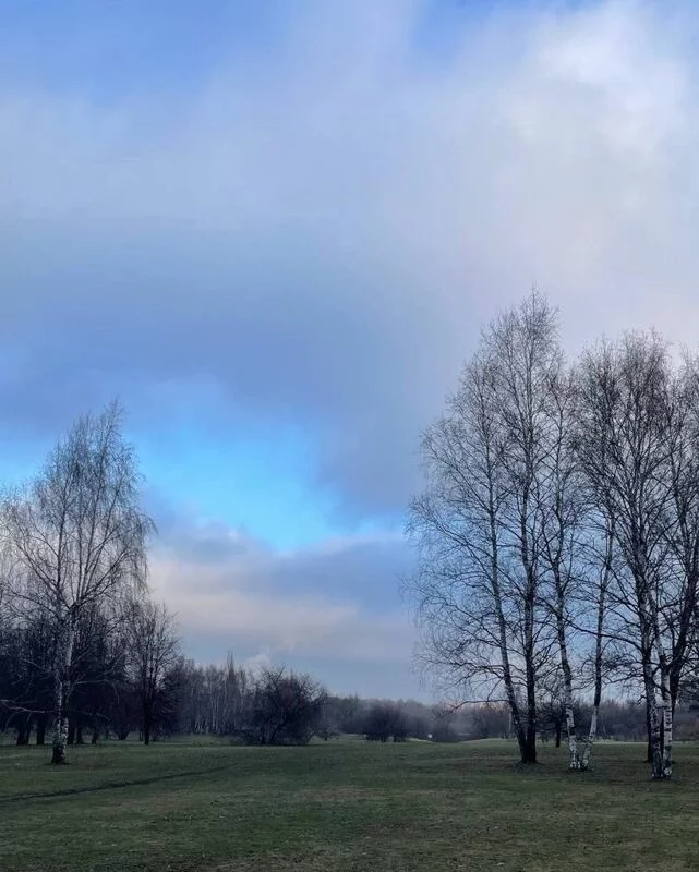 Такое разное небо