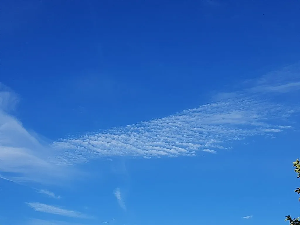 Такое разное небо