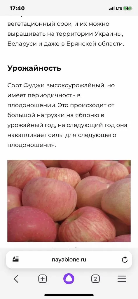 Фуд Сити в Москве