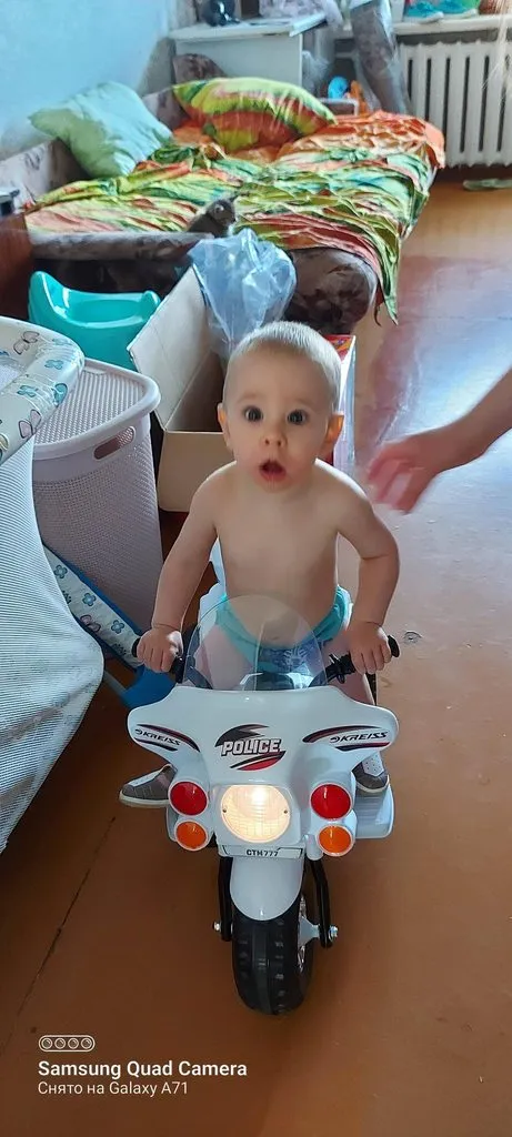 Tapтaлeтки & Ко