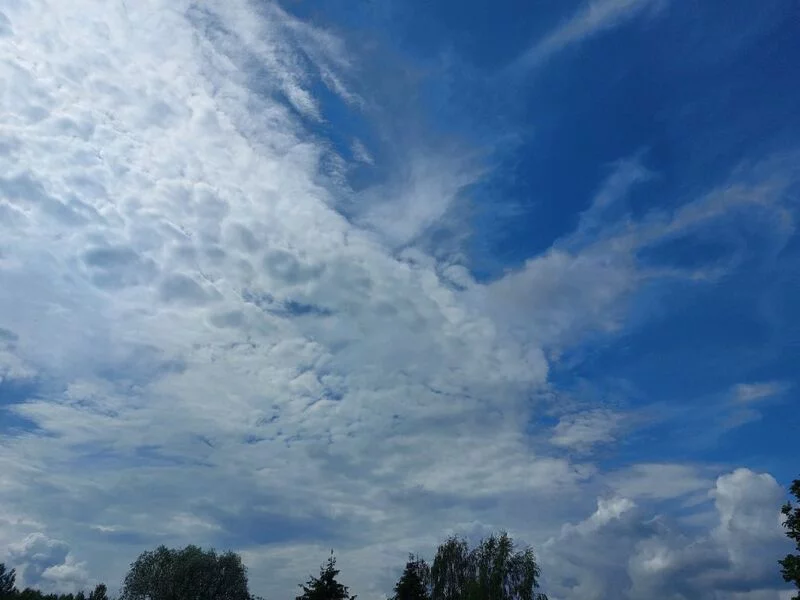 Такое разное небо