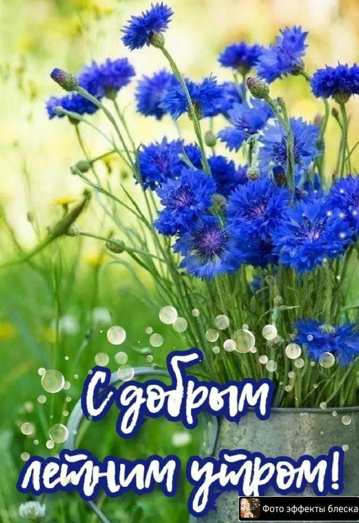Кафе «У пани Сони»