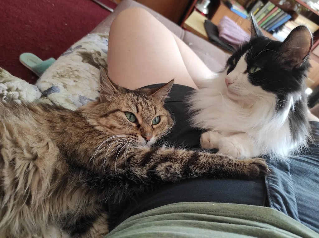 Tapтaлeтки & Ко