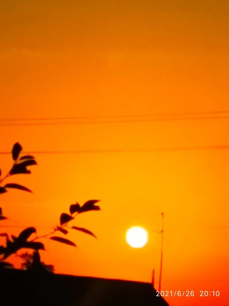 Чайная беседка