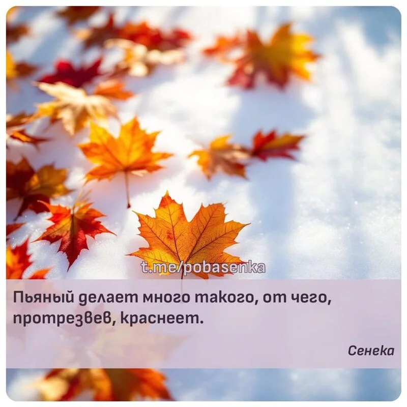 «Пьяный делает много такого, от чего, протрезвев,...» height="550" width="550"