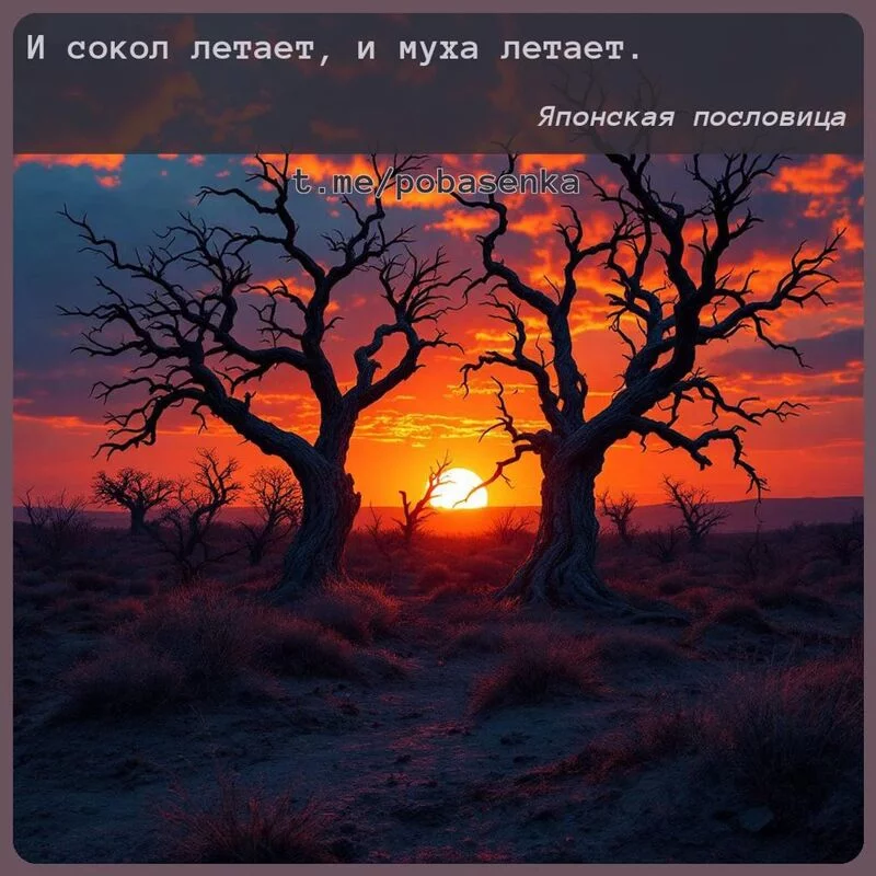 «И сокол летает, и муха...» height="550" width="550"