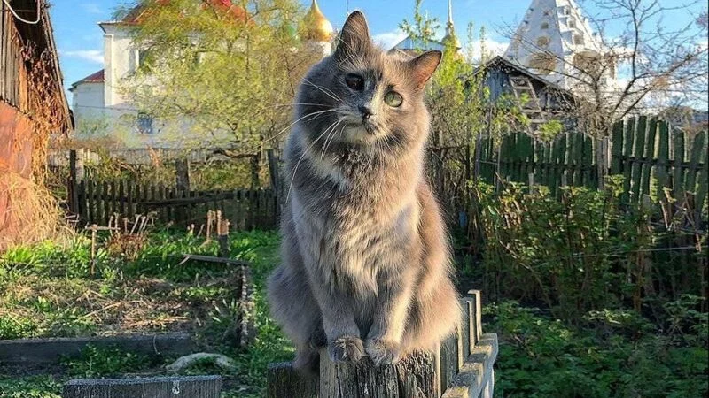 Рассказы для души
