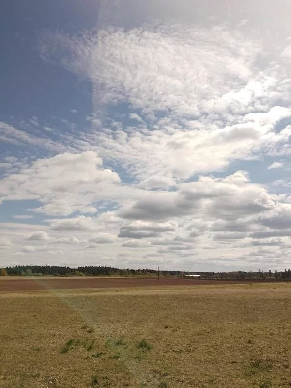 Такое разное небо