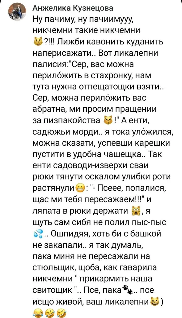 Кошичкина полиция