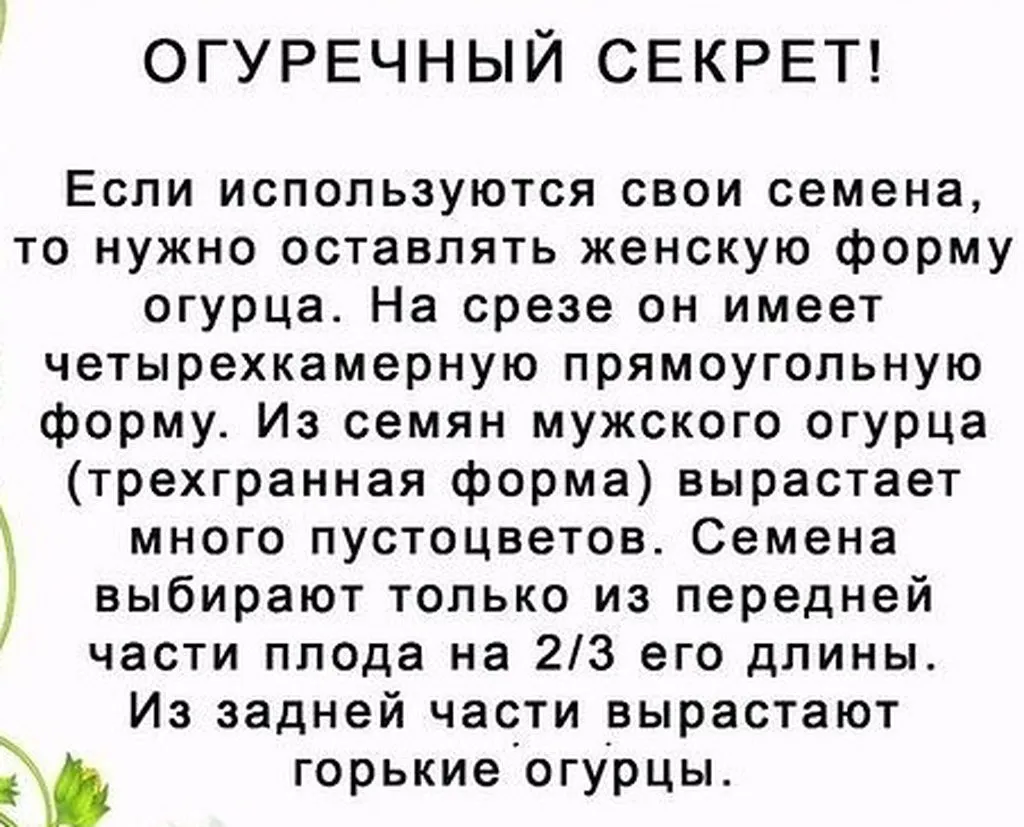 Садово-огородная  инфографика