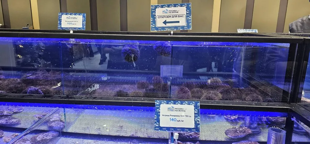 Где, что и когда купить в Москве