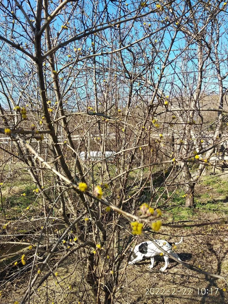 Кафе «У пани Сони»