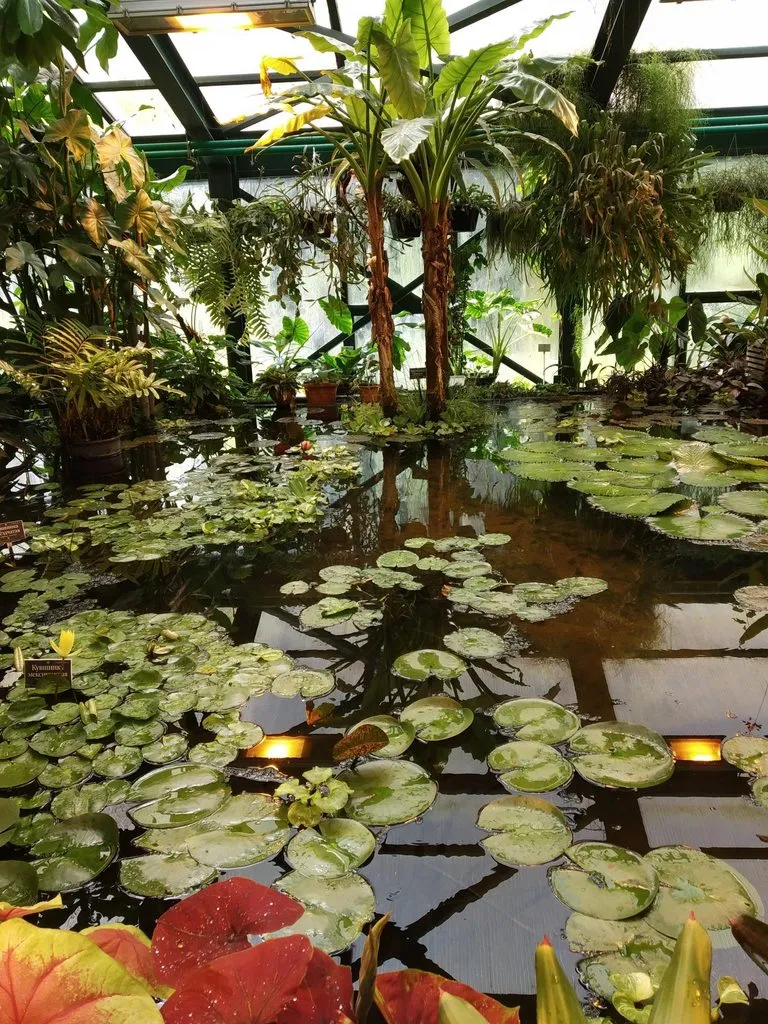 Чайная беседка