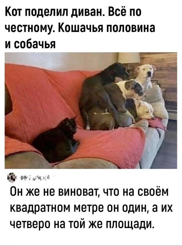 Посмеялся сам - поделись с другом!!!