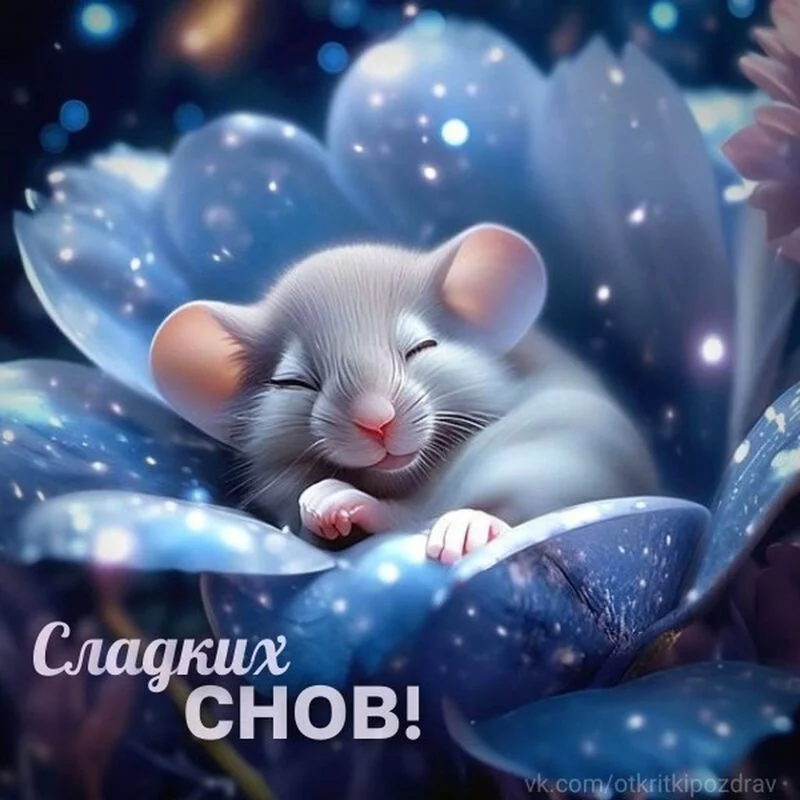 Кафе "У пани Сони"