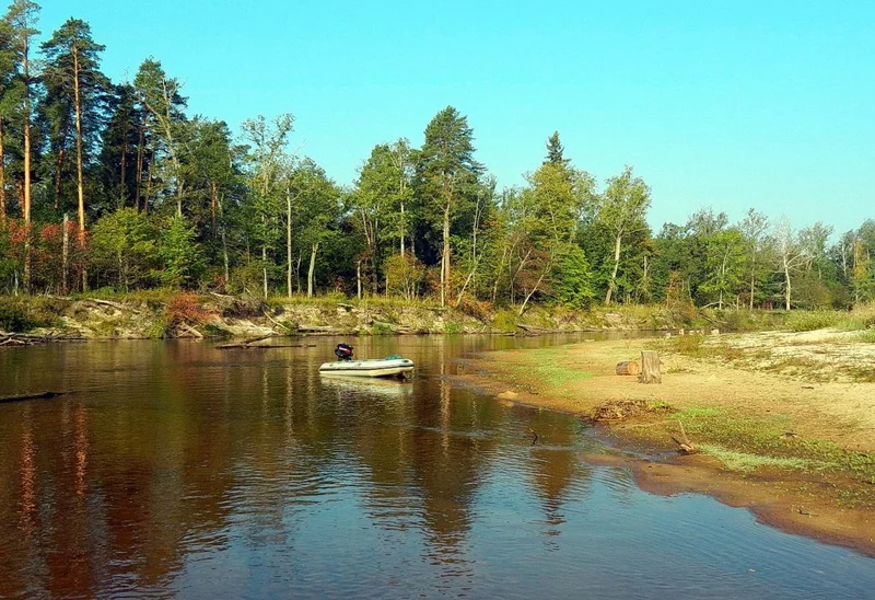 Рыбалка